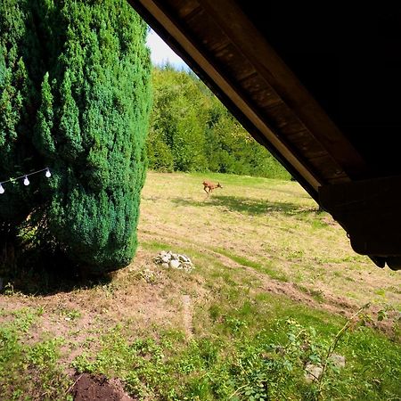 Ferien Im Schwarzwald Freiamt 호텔 외부 사진