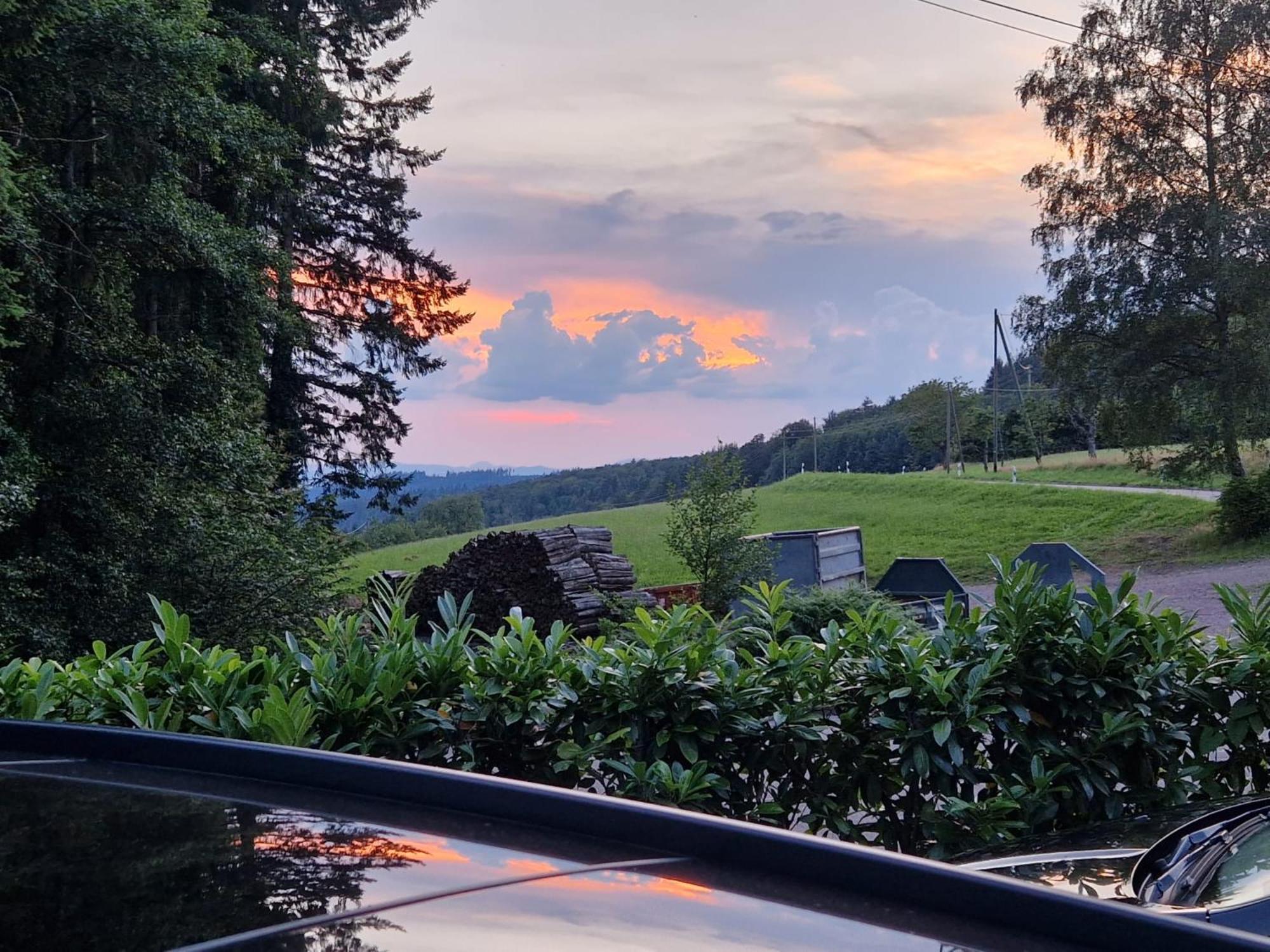 Ferien Im Schwarzwald Freiamt 호텔 외부 사진