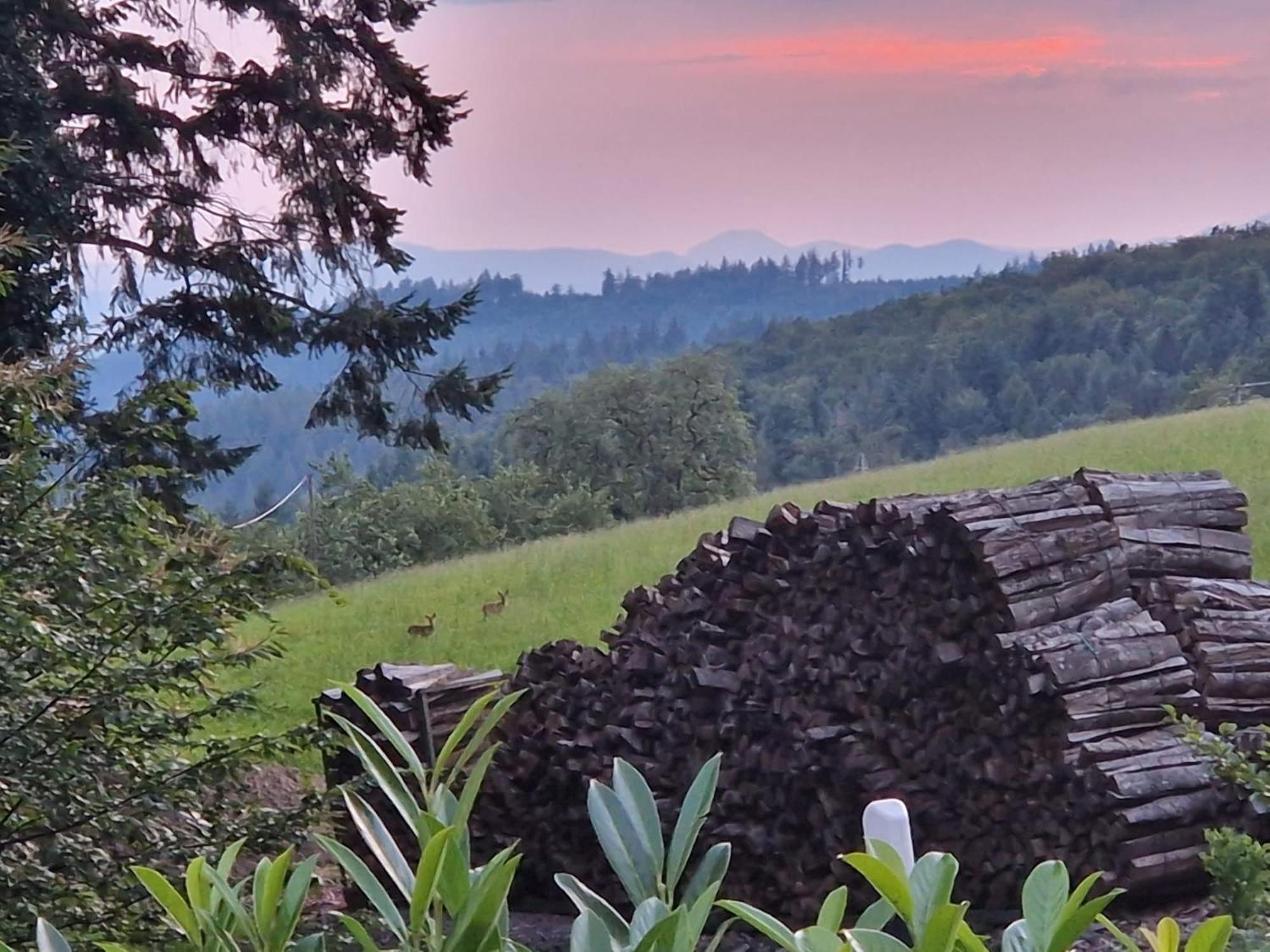 Ferien Im Schwarzwald Freiamt 호텔 외부 사진