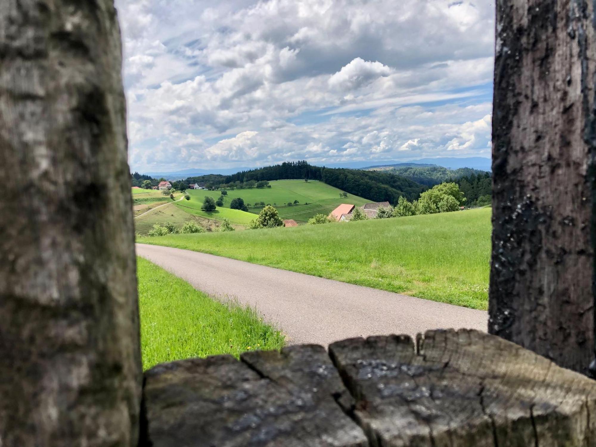 Ferien Im Schwarzwald Freiamt 호텔 외부 사진