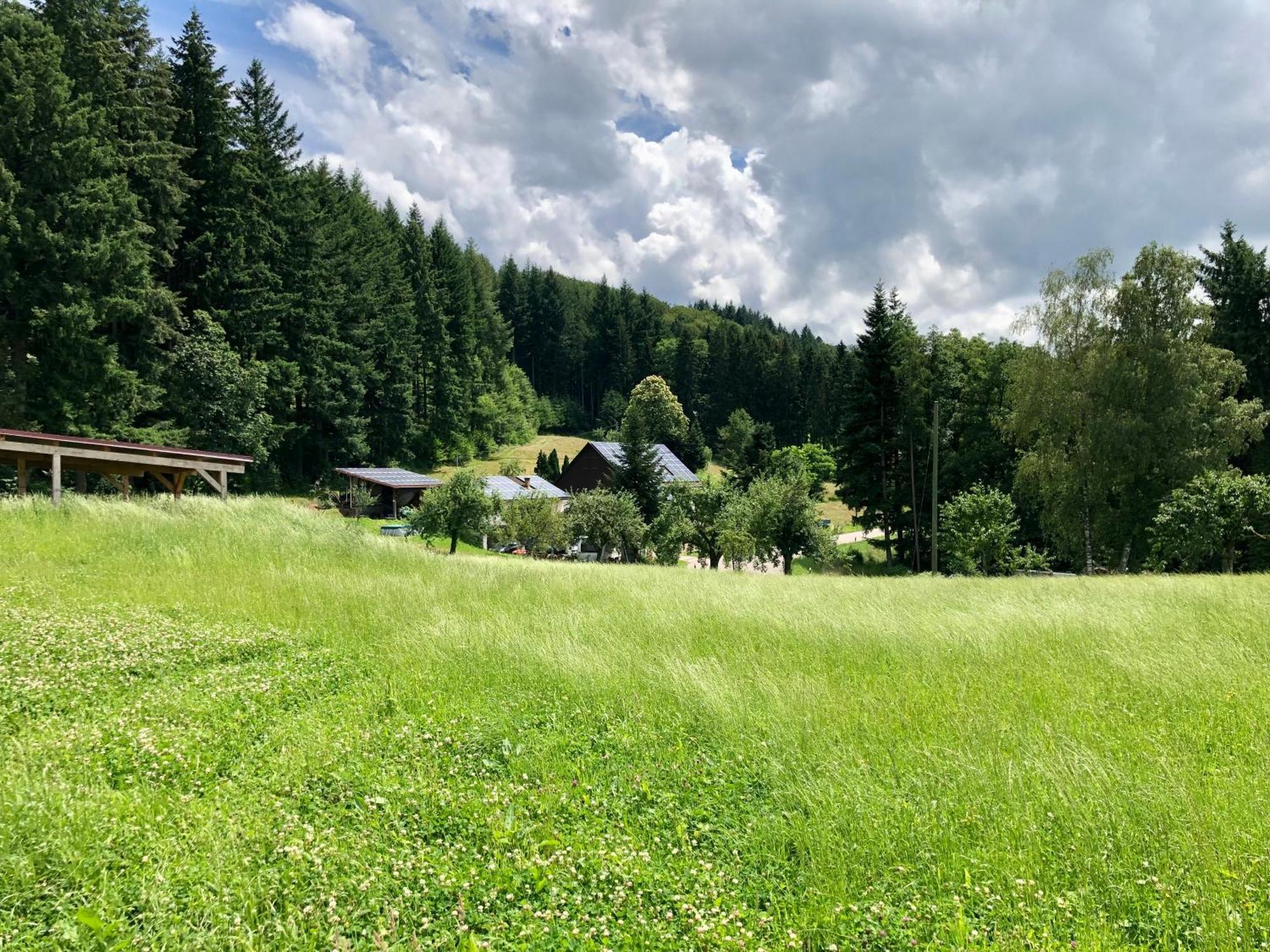 Ferien Im Schwarzwald Freiamt 호텔 외부 사진