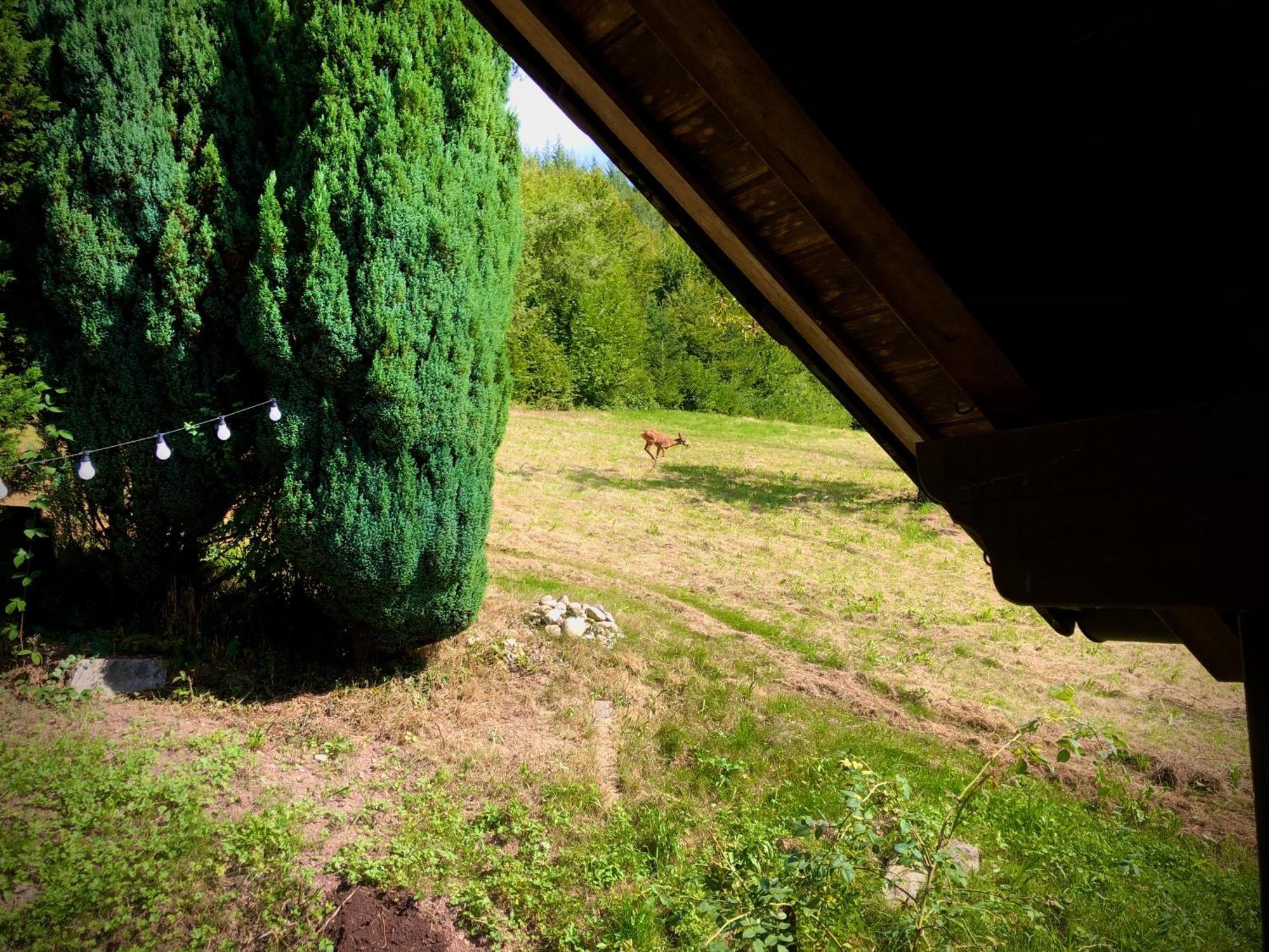 Ferien Im Schwarzwald Freiamt 호텔 외부 사진